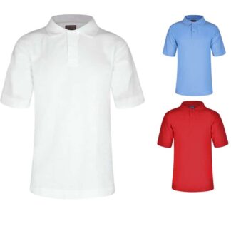 Polo shirts in variety of colours